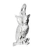 Zilveren Uil ketting hanger, Ophalen of Verzenden, Nieuw