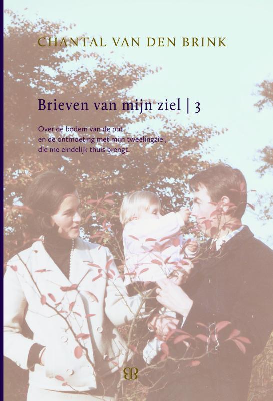 Brieven van mijn ziel / 3 9789081817226, Boeken, Hobby en Vrije tijd, Gelezen, Verzenden