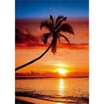 Poster Sunset and Palm Tree 61x91,5cm, Verzenden, Nieuw, A1 t/m A3