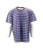 Icebreaker T-shirt in maat XL Blauw | 10% korting, Kleding | Heren, T-shirts, Verzenden, Zo goed als nieuw, Blauw, Icebreaker