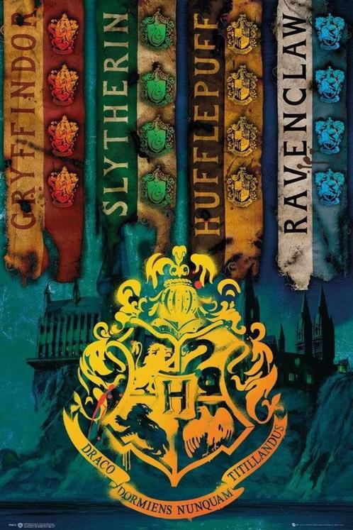 Poster Harry Potter House Flags 61x91,5cm, Verzamelen, Posters, Nieuw, A1 t/m A3, Verzenden