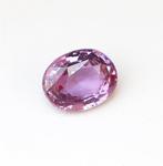 1 pcs Roze Saffier - 1.53 ct - International Gemological, Nieuw
