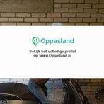 Michael zoekt een oppas in Bussum voor 1 kind voor 5 dage...