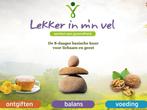De 8-daagse basische kuur (E-Book), Verzenden, Nieuw