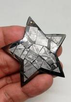 Etoile Muonionalusta en Opale Welo. IJzer meteoriet - 14.77