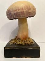 Anatomisch model - Hout - 1920-1930 - Een paddestoel, Antiek en Kunst