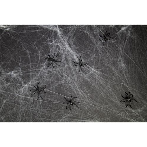 Spinnenweb met 6 Spinnen 100gr, Hobby en Vrije tijd, Feestartikelen, Nieuw, Verzenden