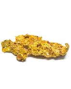 Goud Nugget - Australië - Meekathara goudveld- 0.09 g, Verzamelen
