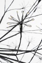 2dekans | Luca Lighting Kerstverlichting Bal met Warm Witte, Diversen, Kerst, Ophalen of Verzenden, Zo goed als nieuw