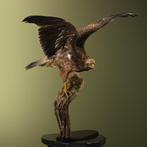 Arend Taxidermie volledige montage - Aquila chrysaetos X, Verzamelen, Nieuw