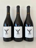 2023 Dominio de Pingus, Psi - Ribera del Duero - 3 Flessen, Nieuw