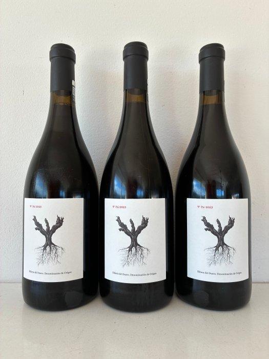 2023 Dominio de Pingus, Psi - Ribera del Duero - 3 Flessen, Verzamelen, Wijnen