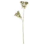 siertak berenklauw goud champagne 85cm*, Huis en Inrichting, Verzenden, Nieuw