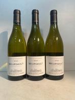 2022 Henri de Villamont Meursault - Bourgogne - 3 Flessen, Nieuw