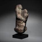 Oud-Egyptisch Graniet Granieten Onvoltooide sculptuur