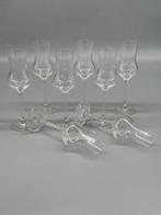 Pot - 8-delige set Grappaglazen – fijne vorm, helder glas,