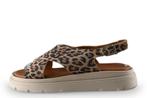 Tamaris Sandalen in maat 41 Panter, Kleding | Dames, Schoenen, Tamaris, Overige kleuren, Verzenden, Sandalen of Muiltjes