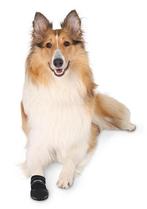 Trixie Walker Care Beschermschoenen Zwart 2 Stuks - XL, Dieren en Toebehoren, Verzenden, Nieuw