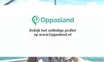 Afshin zoekt een oppas in Velp voor 2 kinderen op dinsdag...