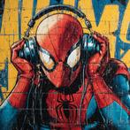 Eric Brumette - DJ SPIDER-MAN SAVED MY LIFE - Toile L