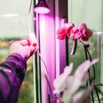 Kobi LED Grow Bulb Planty-B 7W E27 1200K Zwart - Kweeklam..., Ophalen of Verzenden, Nieuw