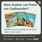 Het grote AVI-leesboek / Junior Suske en Wiske 9789002250507, Verzenden, Gelezen, Pieter van Oudheusden