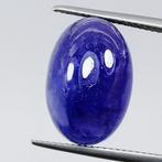 Blauw Tanzaniet - 16.33 ct - Instituto Gemólogico Español, Sieraden, Tassen en Uiterlijk, Edelstenen, Nieuw