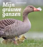 9789464710816 Mijn grauwe ganzen Berend Voslamber, Verzenden, Nieuw, Berend Voslamber