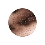 Hoofddouchekop Sanilux Disk Rond 20 cm Brons, Ophalen of Verzenden, Nieuw, Kraan