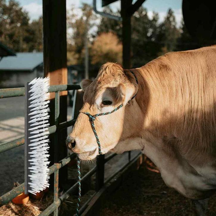 vidaXL Vee borstels Zwart en Wit 50 x 10 x 6.5 cm Kunststof, Zakelijke goederen, Agrarisch | Veevoer, Verzenden