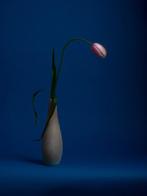 Ursula van de Bunte - Tulip in Blue, Antiek en Kunst