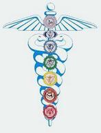 Open chakras 9789080208513 Burg, Boeken, Verzenden, Gelezen, Burg