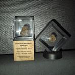 Meteorieten collectie in display 2 originele meteorieten -