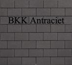 Betonklinkers, H klinkers, Dikformaat gebakken look. stenen