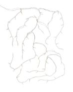 HEMA Lichtsnoer 12m met 200 LED ijspegels 2+1 gratis, Verzenden, Nieuw