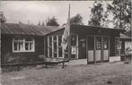 T HARDE - Jeugdhonk, Verzenden, Gelopen