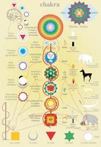 Anatomie poster chakras (Nederlands, gelamineerd, A2), Verzenden, Nieuw