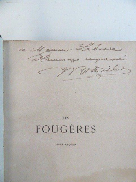 Rothschild, Rivière, André, Roze - Les fougères. Choix des, Antiek en Kunst, Antiek | Boeken en Bijbels