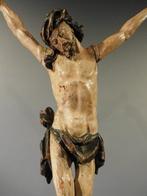 sculptuur, Corpus Christi  - 18e eeuw - 56 cm - Hout