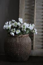 Zijden Helleborus wit 58 cm, Ophalen of Verzenden, Nieuw