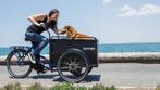 SALE elektrische bakfiets e-bike Hond Kind  Bedrijf  Cargo, Fietsen en Brommers, Fietsen | Bakfietsen, Nieuw, Huif