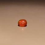 Oud-Romeins Kornalijn Intaglio met papegaai. 1e-3e eeuw na