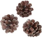 Oostenrijker dennenappel pinus nigra antique zilverwash 6, Hobby en Vrije tijd, Knutselen, Ophalen of Verzenden, Nieuw