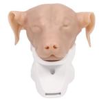 Anatomie model hond, otoscopie simulator, Verzenden, Nieuw