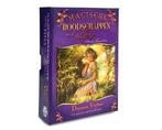 Boek Magische boodschappen van de elfen 9789085081159, Boeken, Verzenden, Zo goed als nieuw