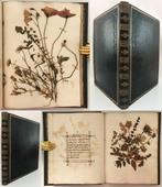 Unknown - 19th Century Herbarium Album - Botany Ireland, Antiek en Kunst