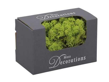 Rendiermos ijslandsmos finlandsmos lentegroen 50 gr, Hobby en Vrije tijd, Knutselen, Nieuw, Ophalen of Verzenden