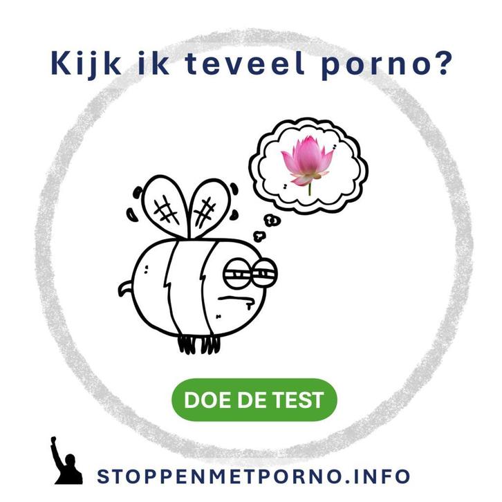 Stoppen met porno, Boeken, Advies, Hulp en Training, Nieuw