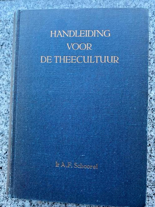 Handleiding voor de theecultuur (Indië, Indonesië), Boeken, Geschiedenis | Vaderland, Gelezen, 20e eeuw of later, Verzenden