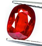 Robijn - 2.00 ct - Lotus Gemology - Intense Red (Mozambique), Nieuw